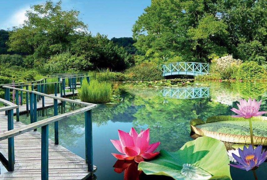 The Water Gardens of Carsac, Carsac-Aillac, France, France